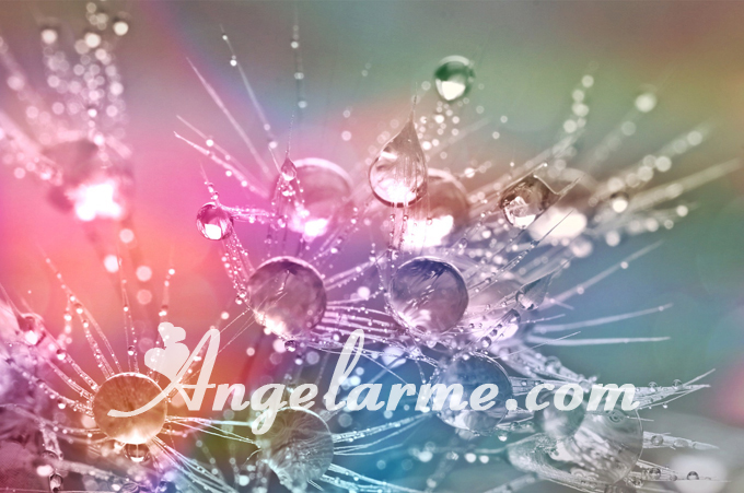 angel larme image